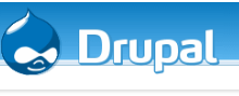 Yo voy a brindarle soporte en cualquier proyecto Drupal.