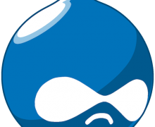 Yo voy a brindarle soporte en cualquier proyecto Drupal