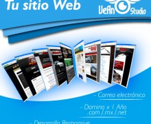 Sitio web responsive Totalmente profesional