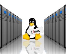 Yo voy a ayudarle en las tareas en Linux Server
