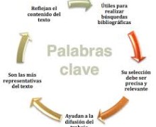 Yo voy a escribir palabras claves para tu web