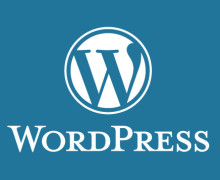 Yo voy a proveer un servicio de instalación de WordPress completo