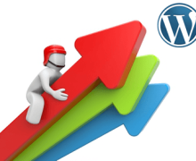 Yo voy a ayudarte a  multiplicar las visitas a tu Web WordPress