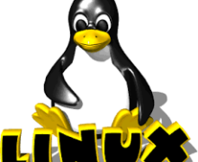 Yo voy a instalar un software en su servidor Linux