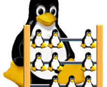 Yo voy a ayudarle en las tareas en Linux Server o Escritorio