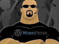 Yo voy a arreglar y mejorar la seguridad de los sitios web de WordPress