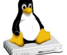 YO Voy a ayudarle en las tareas en Linux Server